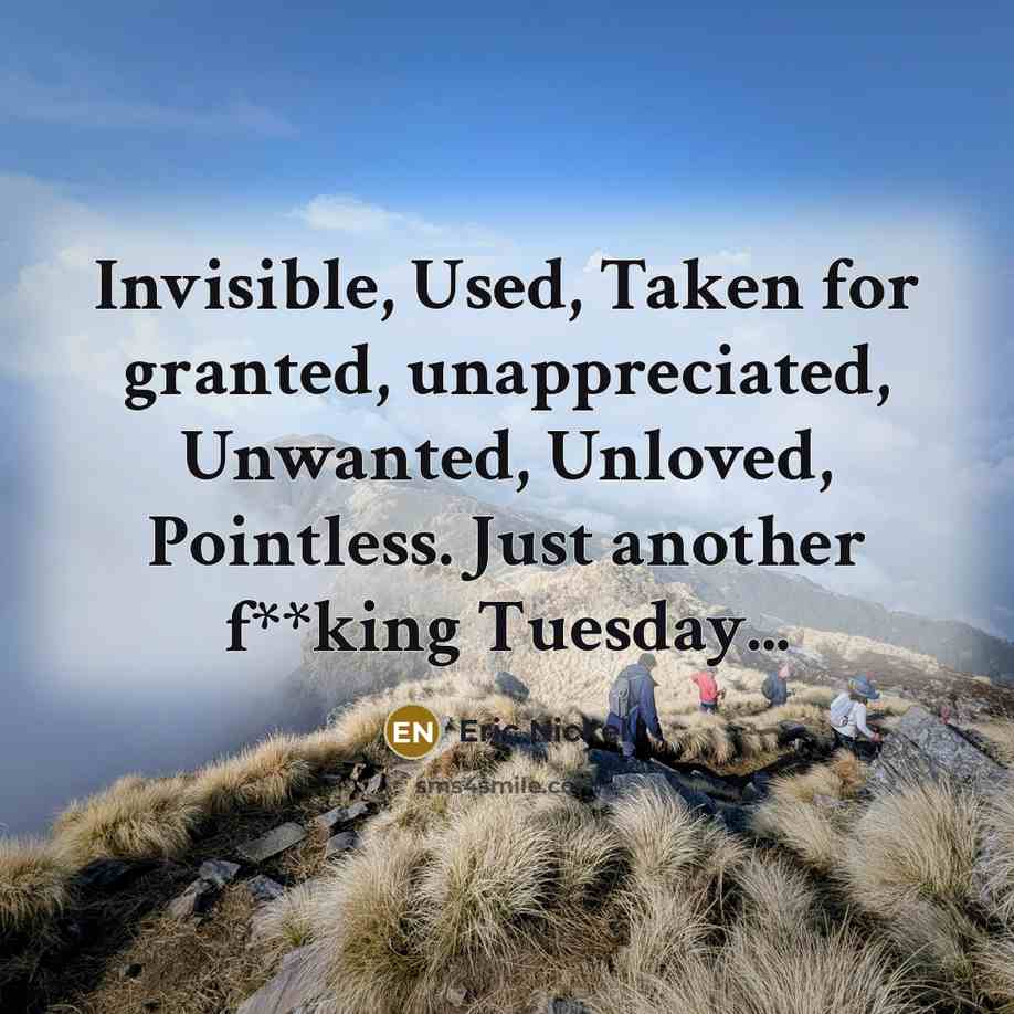 “Invisible, Used, Taken for granted, unappreciated, Unwanted, Unloved, Pointless. Just…” quote by Eric Nickel