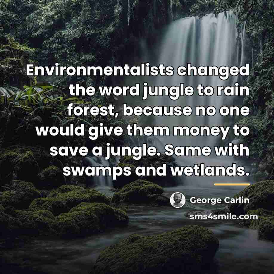 “Environmentalists changed the word jungle to rain forest, because no…” quote by George Carlin