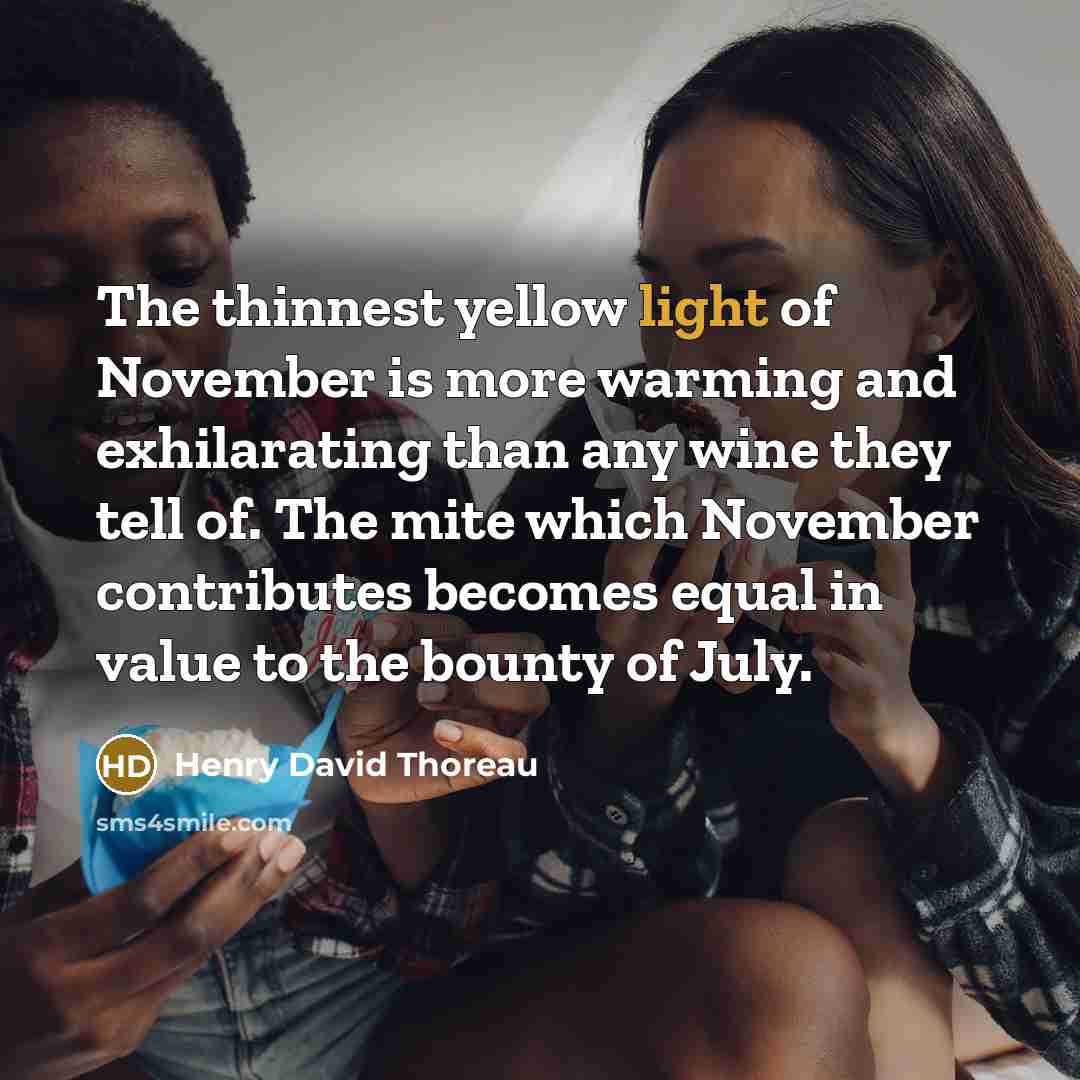 “The thinnest yellow light of November is more warming and…” quote by Henry David Thoreau