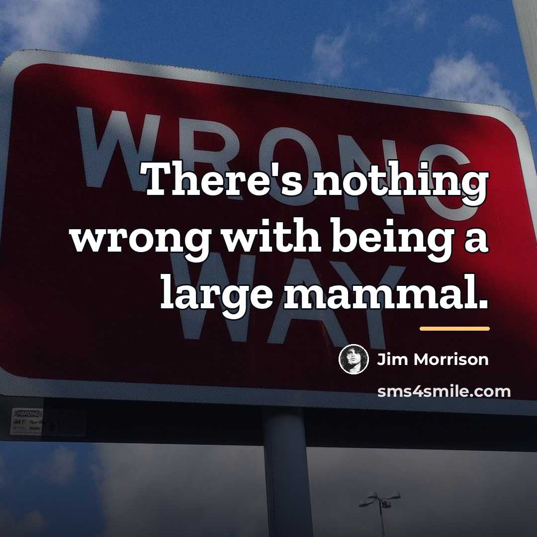 “There's nothing wrong with being a large mammal.…” quote by Jim Morrison