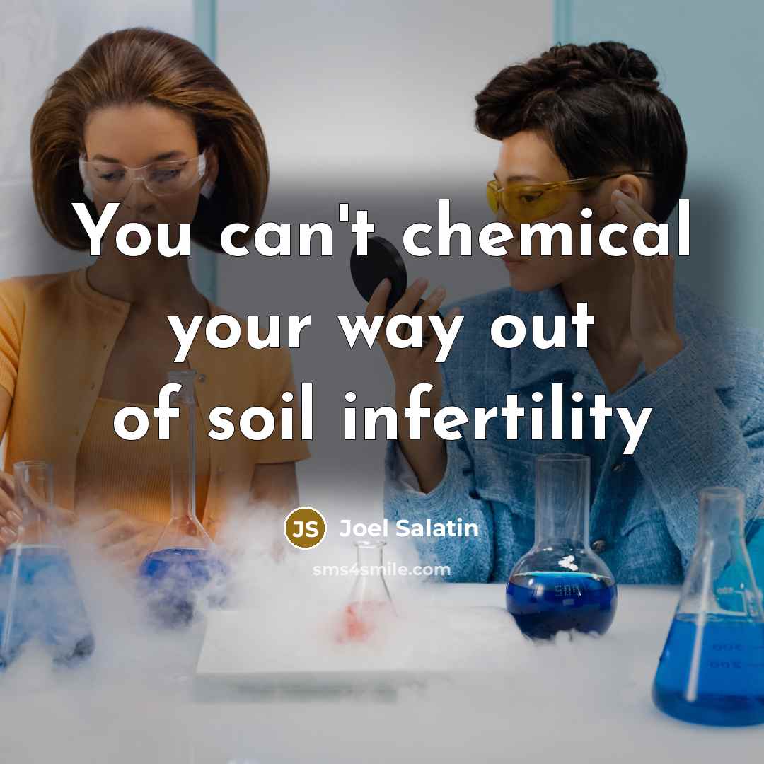 “You can't chemical your way out of soil infertility…” quote by Joel Salatin