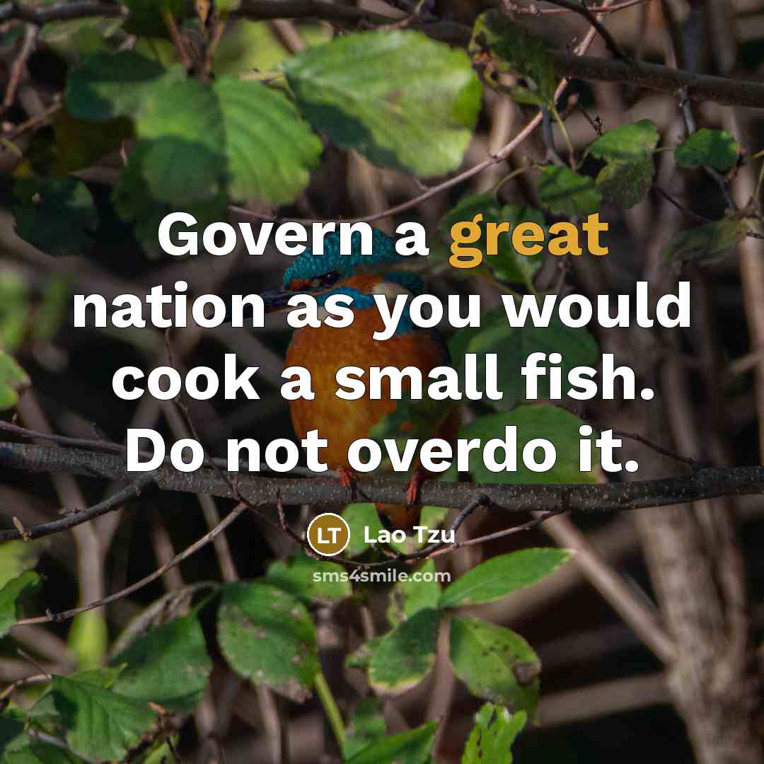 “Govern a great nation as you would cook a small fish. Do not overdo it.” quote by Lao Tzu