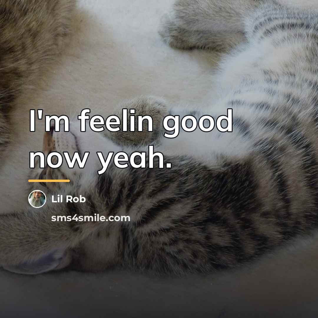 “I'm feelin good now yeah.…” quote by Lil Rob