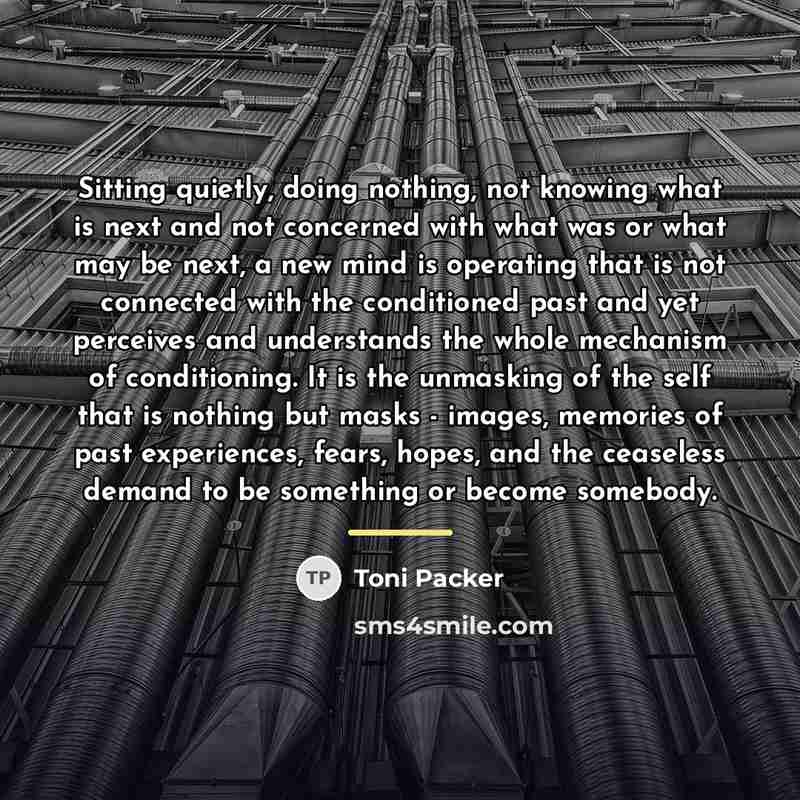 “Sitting quietly, doing nothing, not knowing what is next and…” quote by Toni Packer