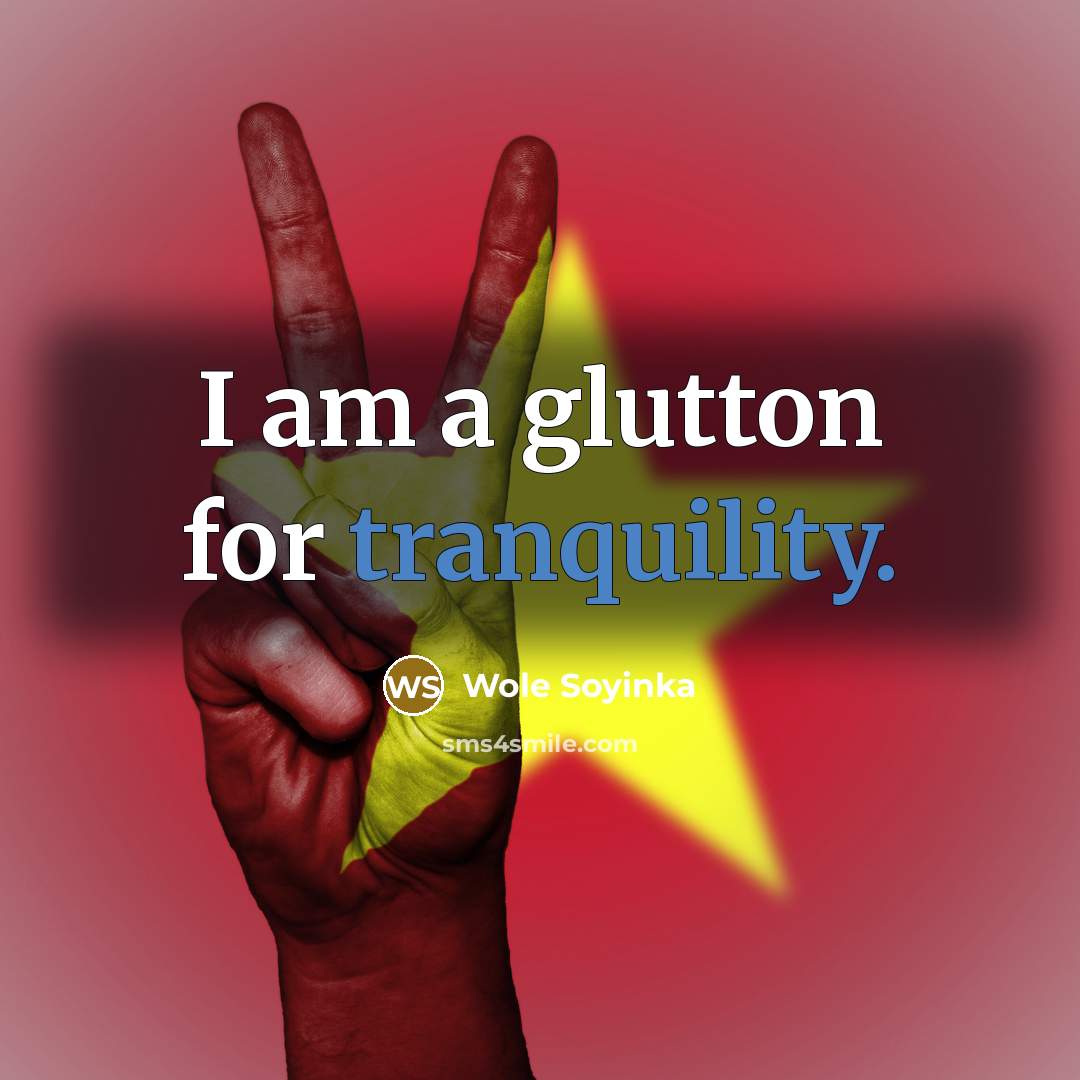 “I am a glutton for tranquility.…” quote by Wole Soyinka