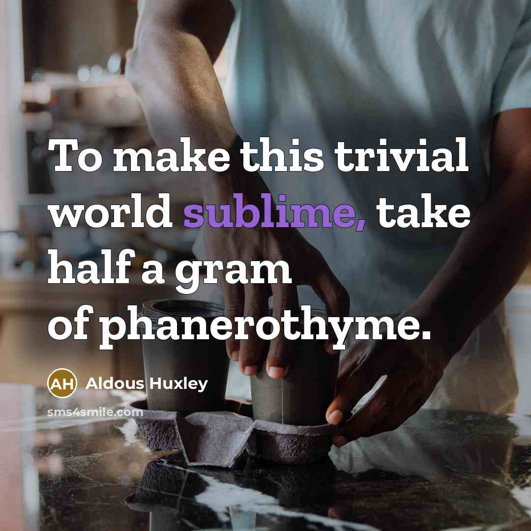 “To make this trivial world sublime, take half a gram…” quote by Aldous Huxley
