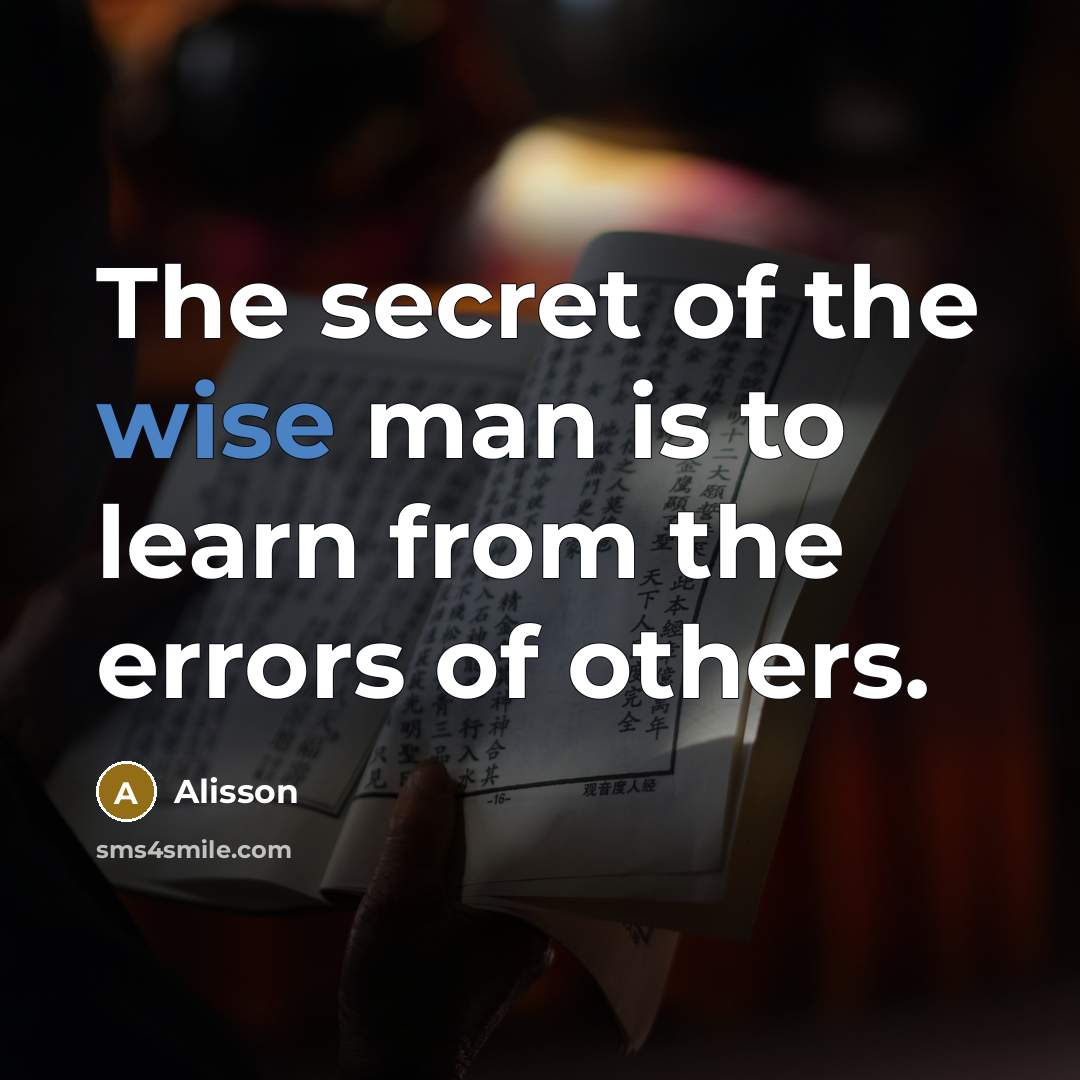 “The secret of the wise man is to learn from…” quote by Alisson