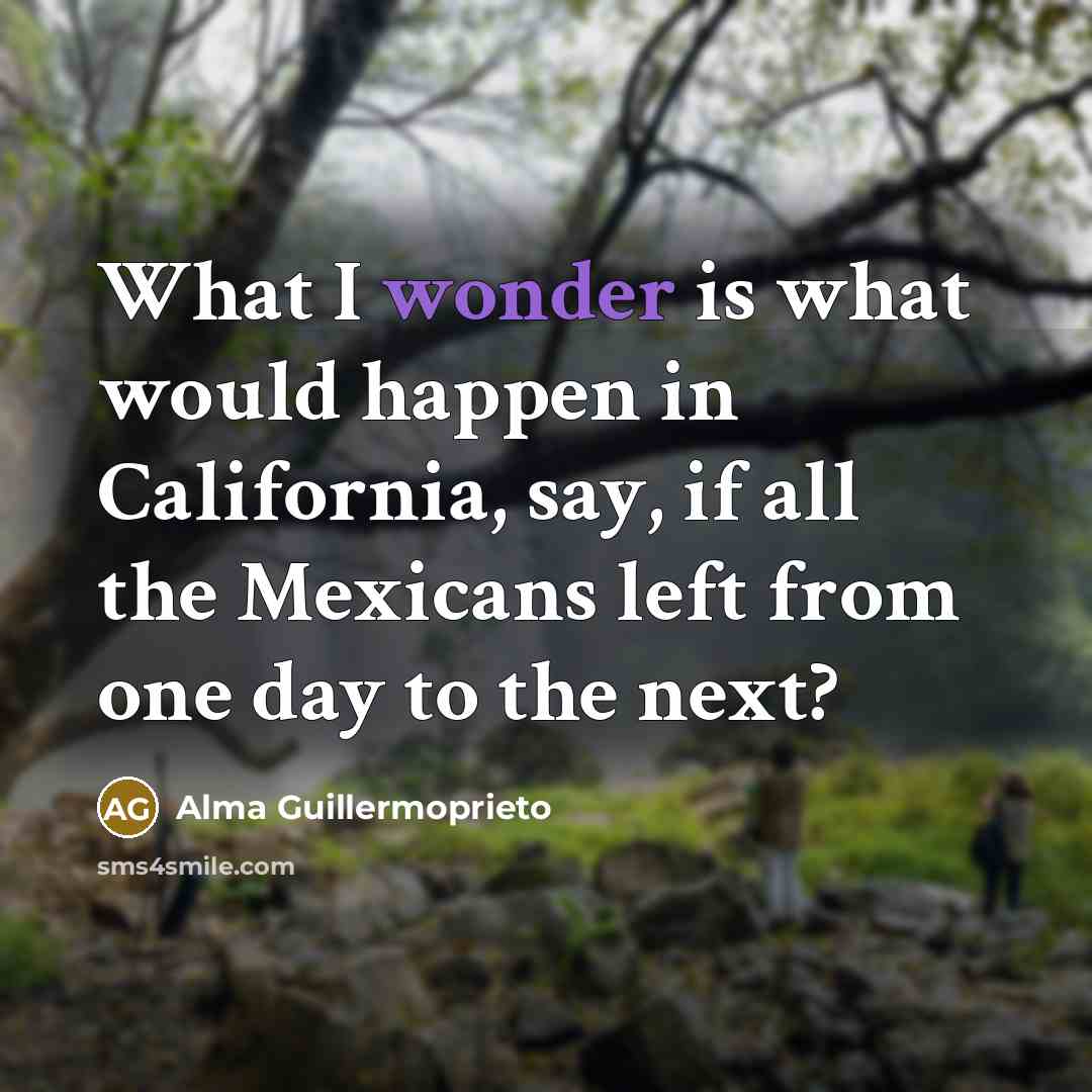 “What I wonder is what would happen in California, say,…” quote by Alma Guillermoprieto