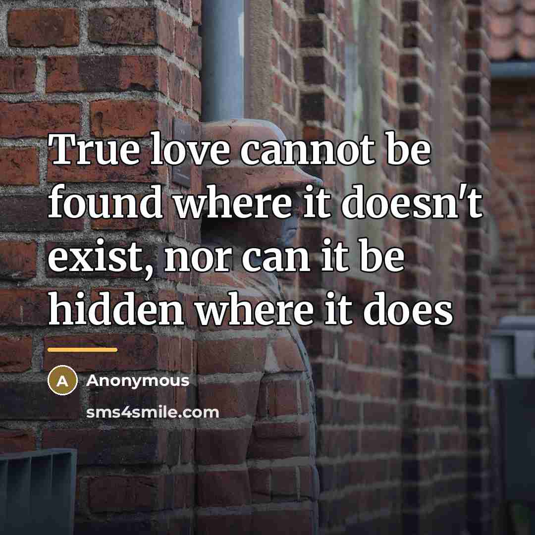 “True love cannot be found where it doesn't exist, nor…” quote by Anonymous