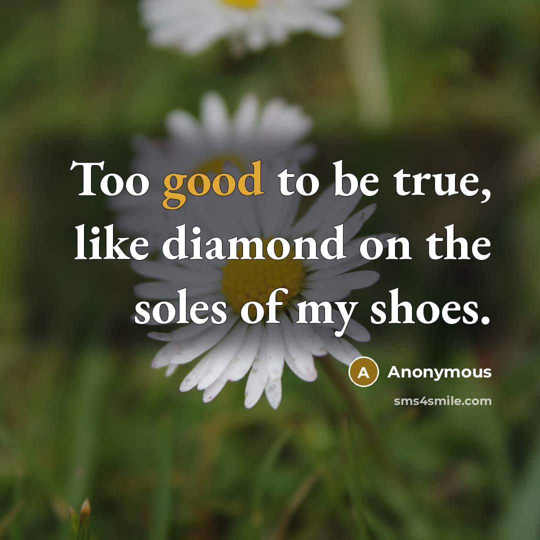 “Too good to be true, like diamond on the soles…” quote by Anonymous