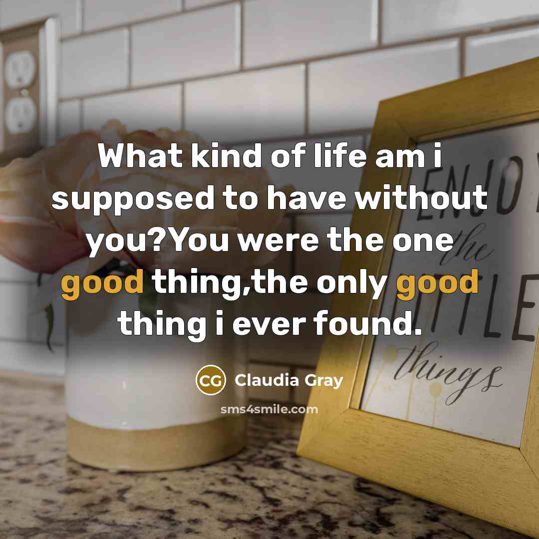 “What kind of life am i supposed to have without…” quote by Claudia Gray