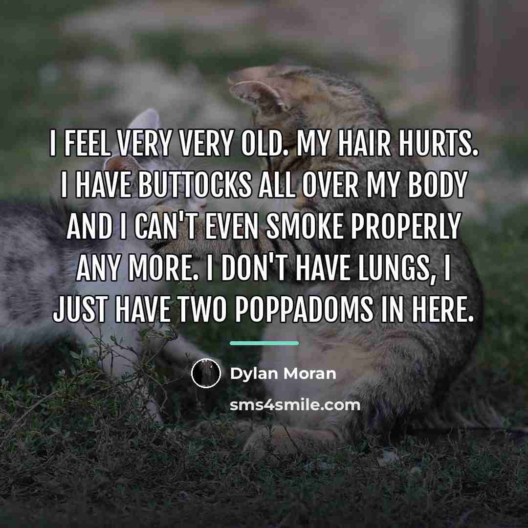 “I feel very very old. My hair hurts. I have…” quote by Dylan Moran