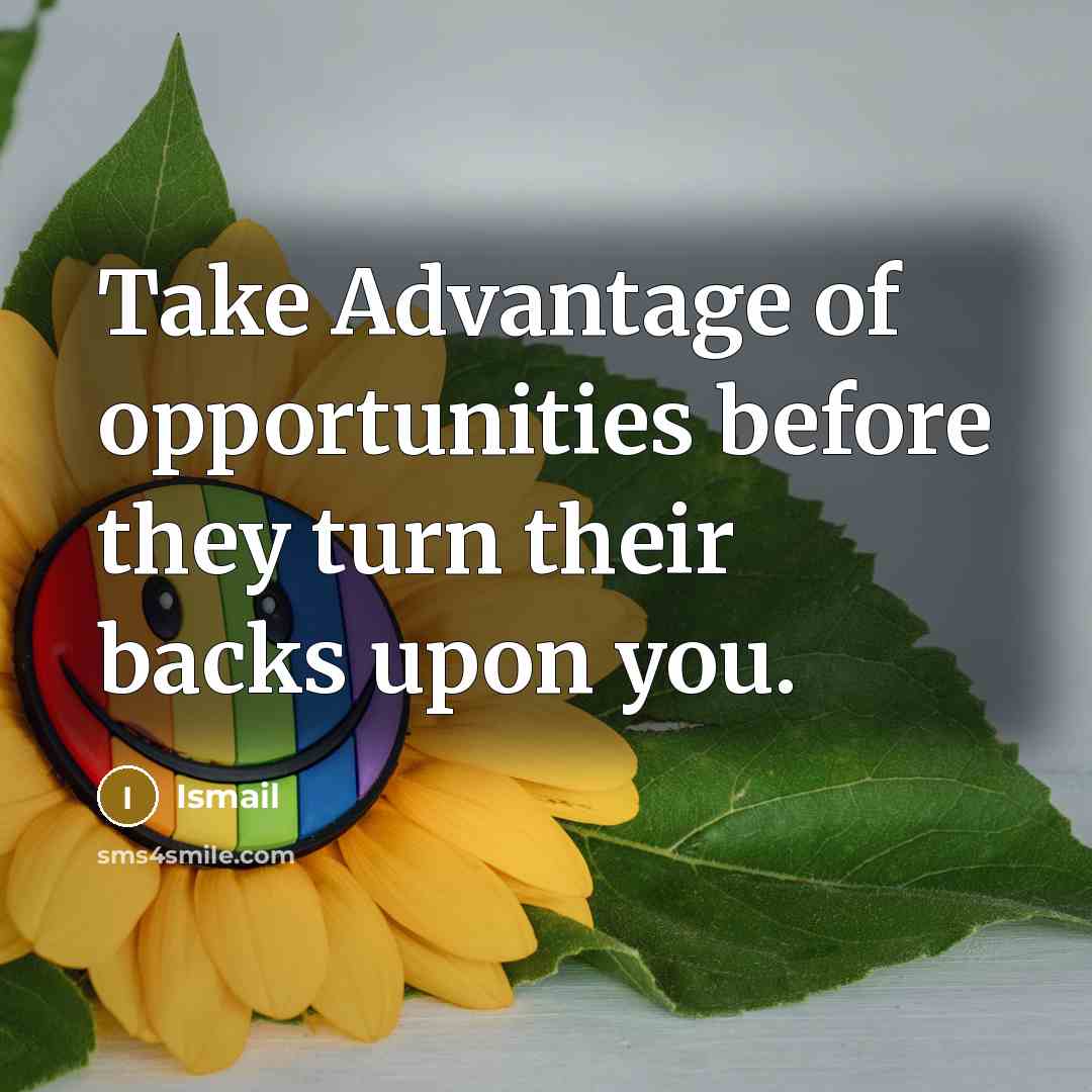 “Take Advantage of opportunities before they turn their backs upon…” quote by Ismail