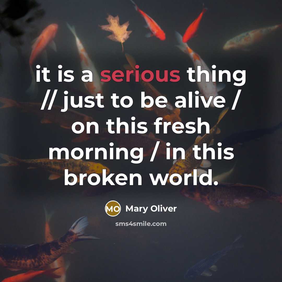 “it is a serious thing // just to be alive…” quote by Mary Oliver