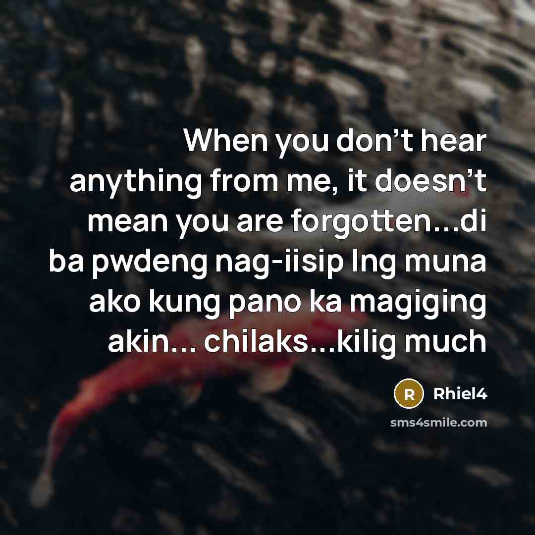 “When you don't hear anything from me, it doesn't mean…” quote by Rhiel4