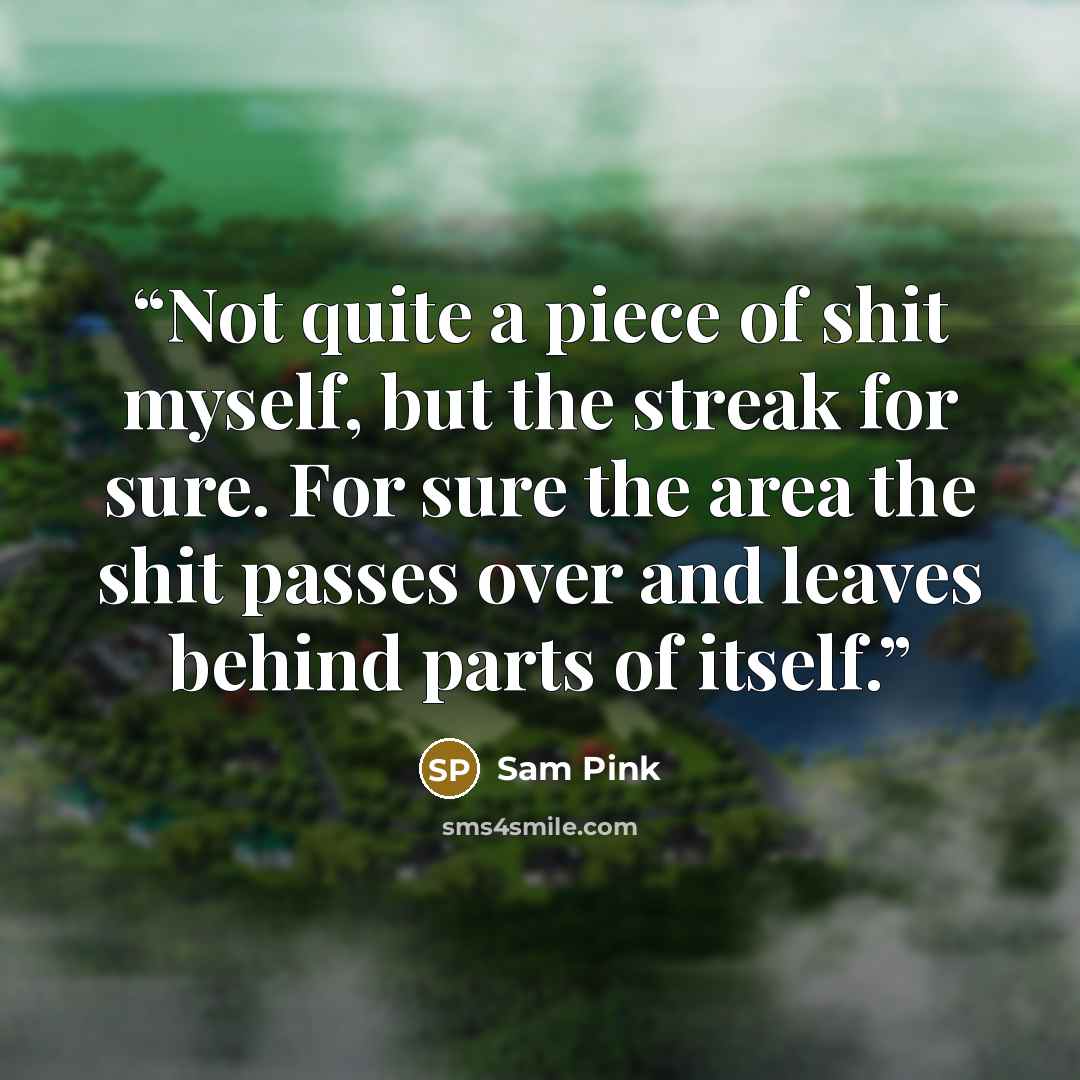 “Not quite a piece of shit myself, but the streak for sure. For sure the area the shit passes over and leaves behind parts of itself.” quote by Sam Pink