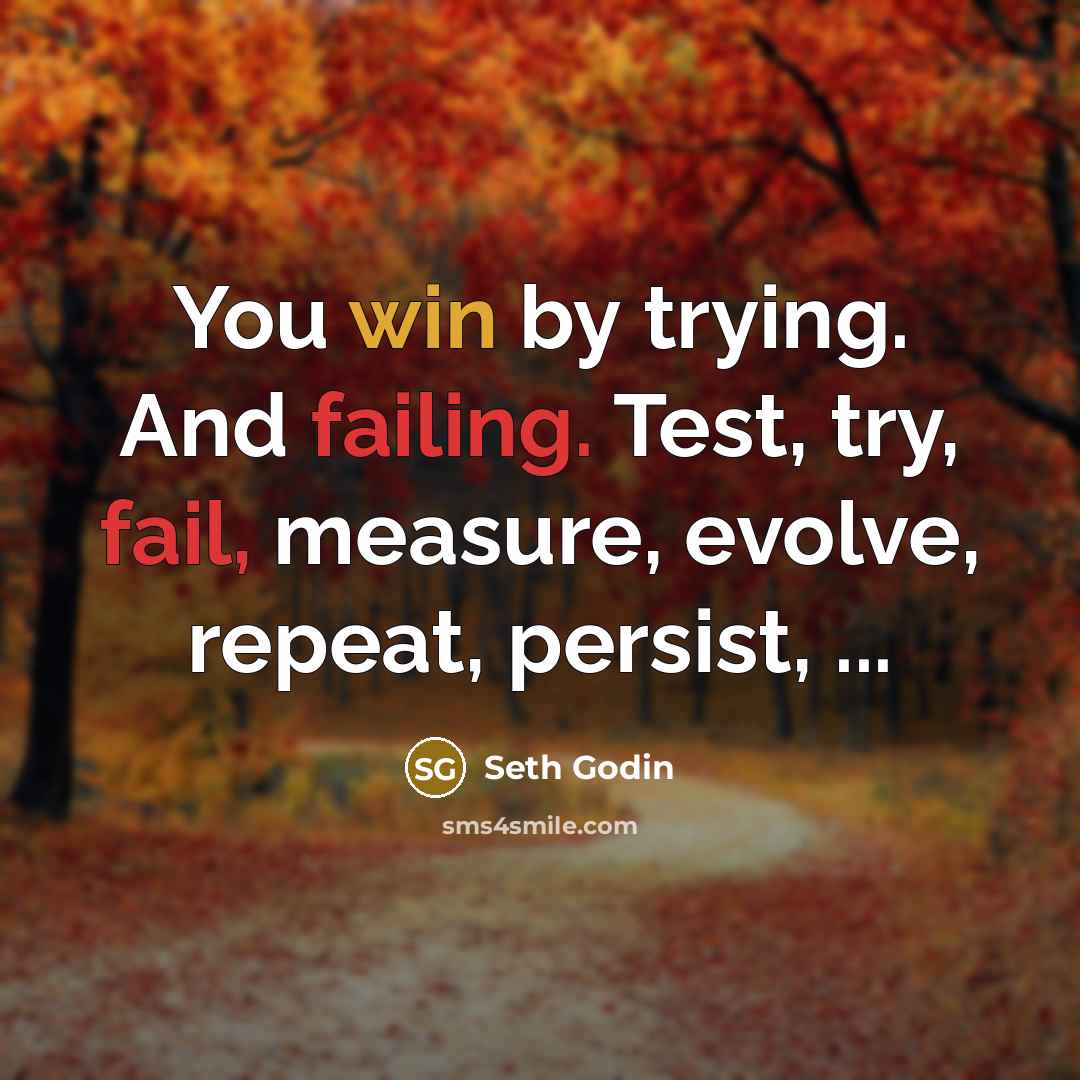 “You win by trying. And failing. Test, try, fail, measure,…” quote by Seth Godin