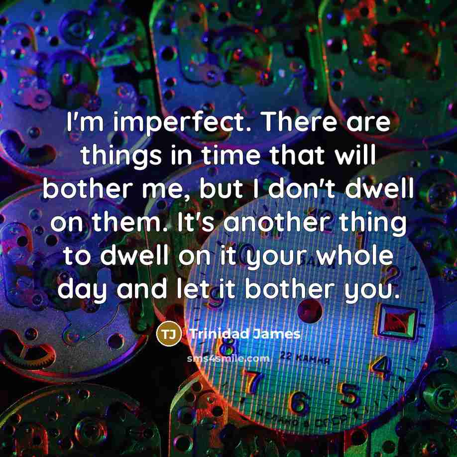 “I'm imperfect. There are things in time that will bother…” quote by Trinidad James