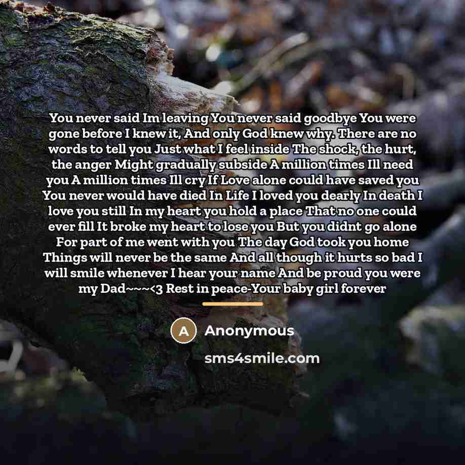 “You never said Im leaving You never said goodbye You…” quote by Anonymous