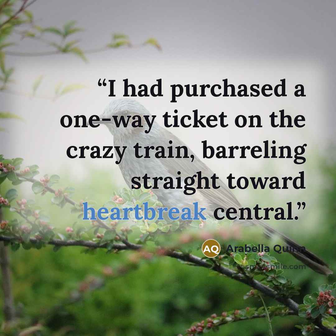 “I had purchased a one-way ticket on the crazy train, barreling straight toward heartbreak central.” quote by Arabella Quinn