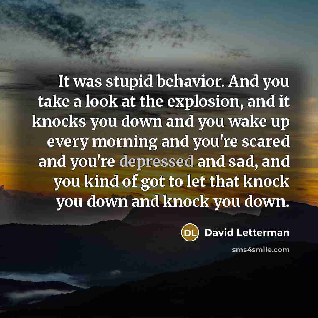 “It was stupid behavior. And you take a look at…” quote by David Letterman