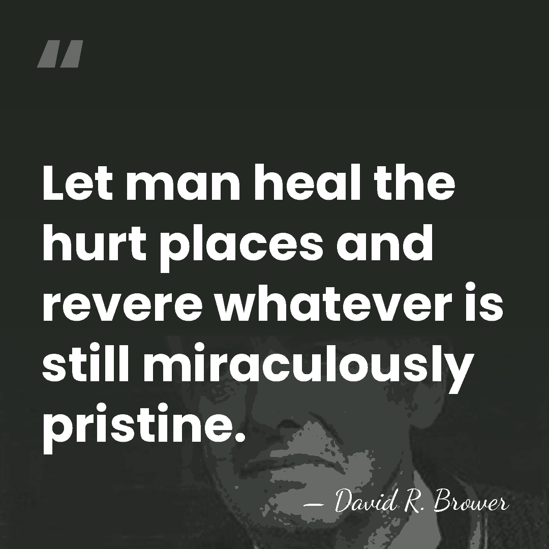 Let man heal the hurt places and revere whatever is still miraculously&hellip; - David R. Brower