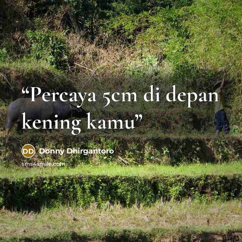 “Percaya 5cm di depan kening kamu” quote by Donny Dhirgantoro