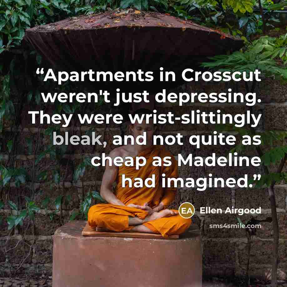 “Apartments in Crosscut weren't just depressing. They were wrist-slittingly bleak, and not quite as cheap as Madeline had imagined.” quote by Ellen Airgood