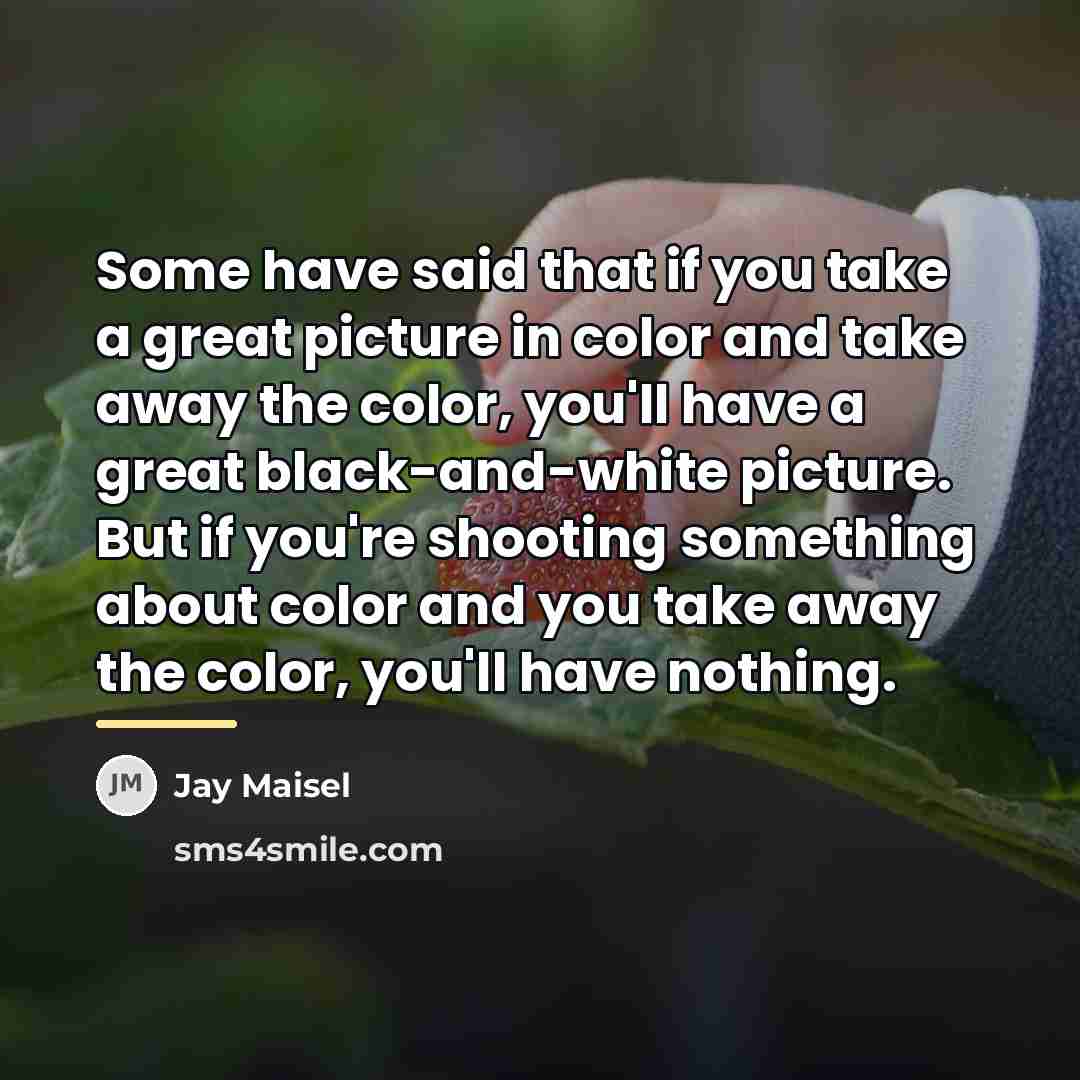 “Some have said that if you take a great picture…” quote by Jay Maisel