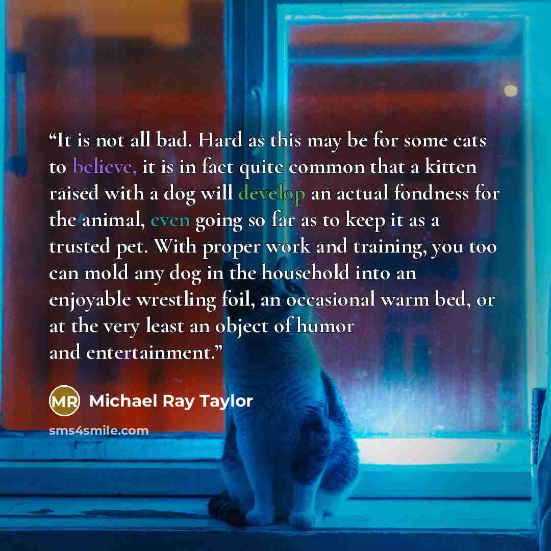 “It is not all bad. Hard as this may be for some cats to believe, it is in fact quite common that a kitten raised with a dog will develop an actual fondness for the animal, even going so far as to keep it as a trusted pet. With proper work and training, you too can mold any dog in the household…” quote by Michael Ray Taylor