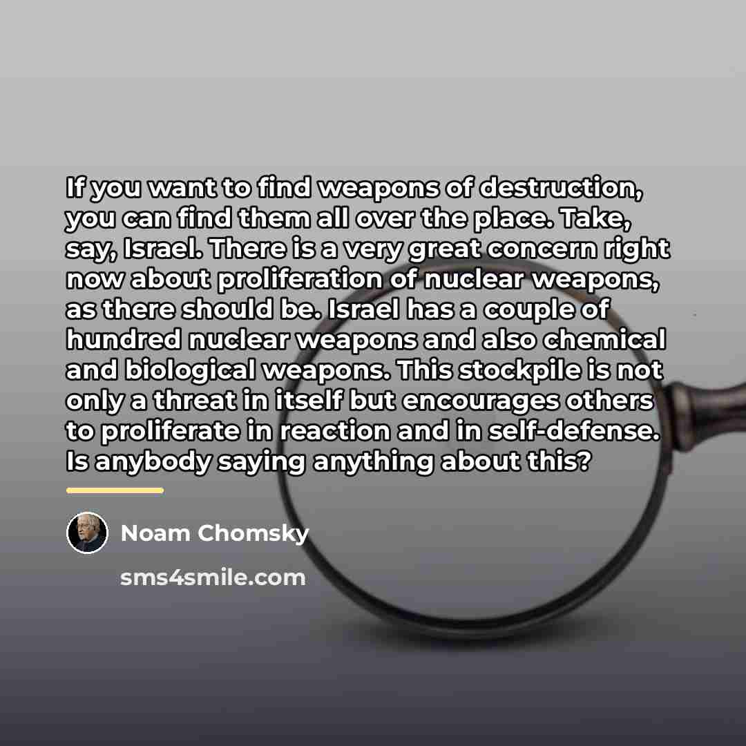 “If you want to find weapons of destruction, you can…” quote by Noam Chomsky