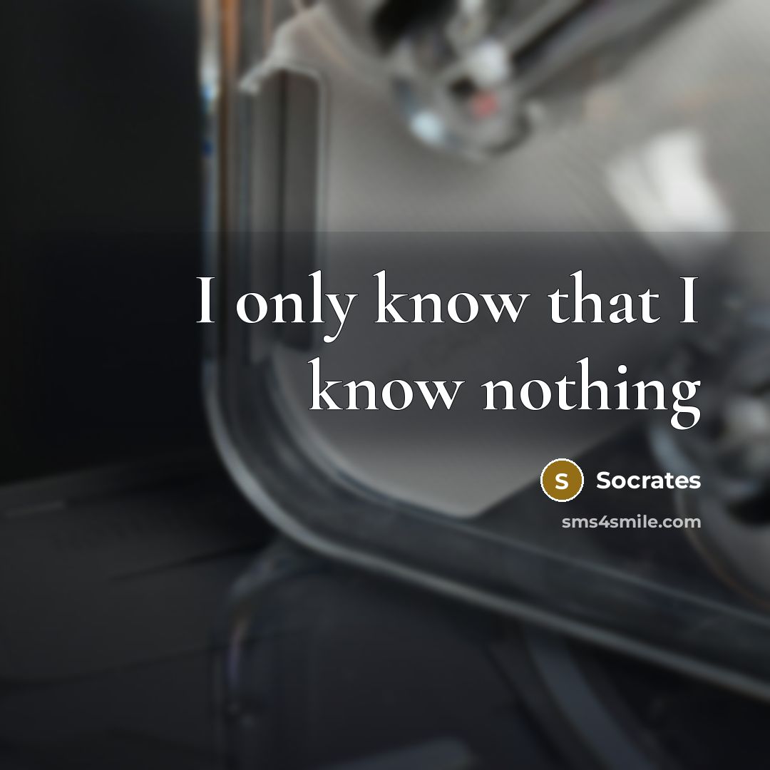 “I only know that I know nothing” quote by Socrates