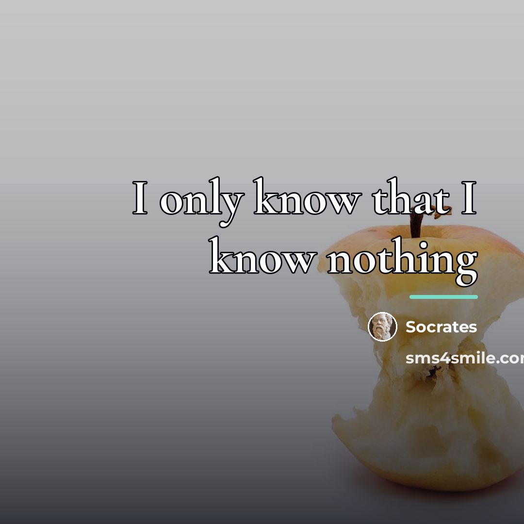 “I only know that I know nothing…” quote by Socrates