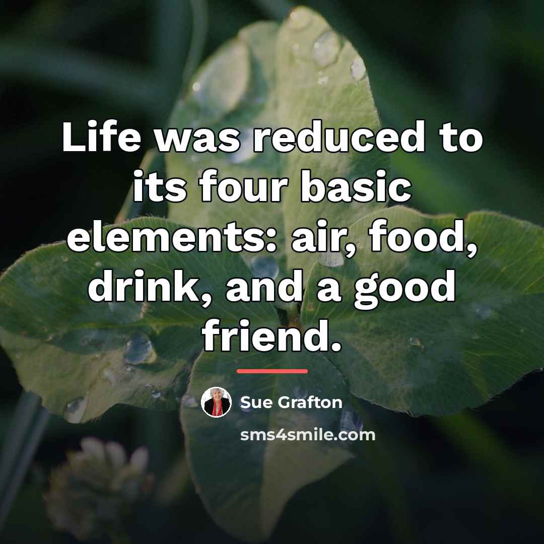 “Life was reduced to its four basic elements: air, food,…” quote by Sue Grafton