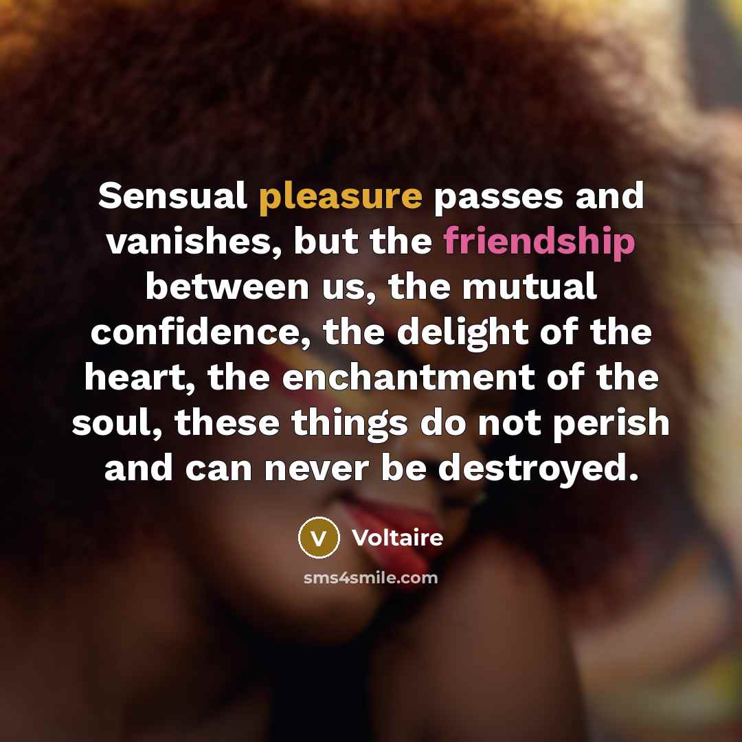 “Sensual pleasure passes and vanishes, but the friendship between us,…” quote by Voltaire