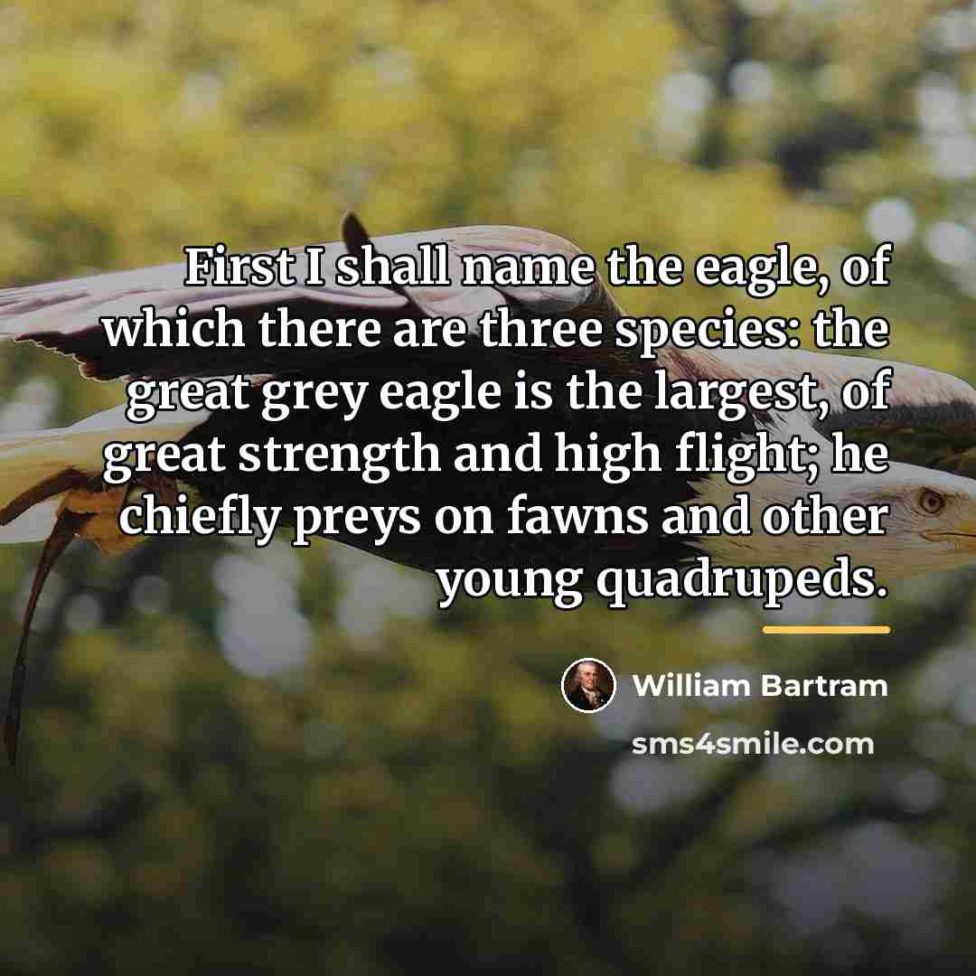 “First I shall name the eagle, of which there are…” quote by William Bartram