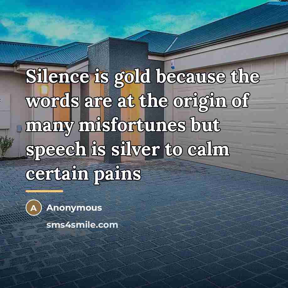“Silence is gold because the words are at the origin…” quote by Anonymous