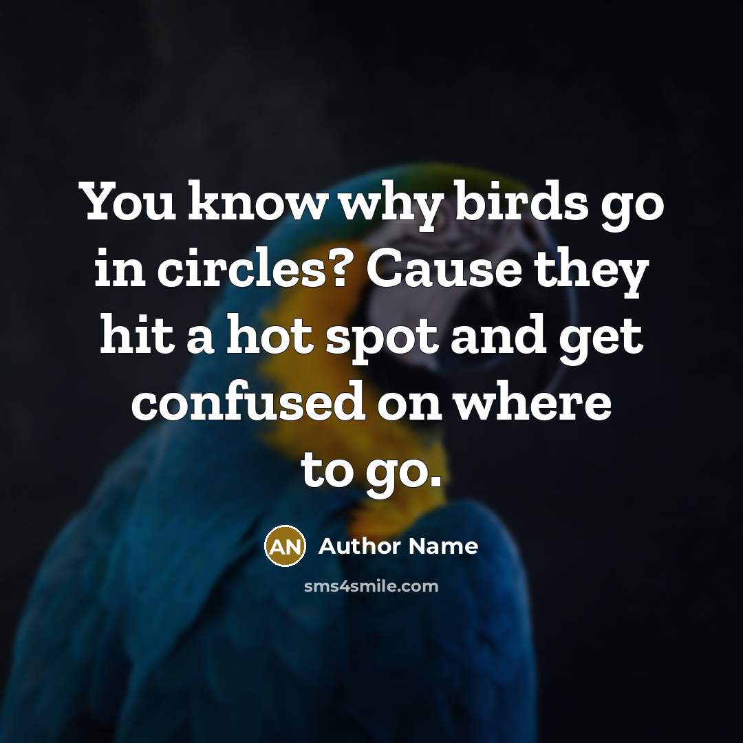 “You know why birds go in circles? Cause they hit…” quote by Author Name