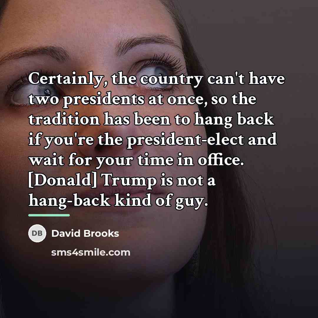 “Certainly, the country can't have two presidents at once, so…” quote by David Brooks
