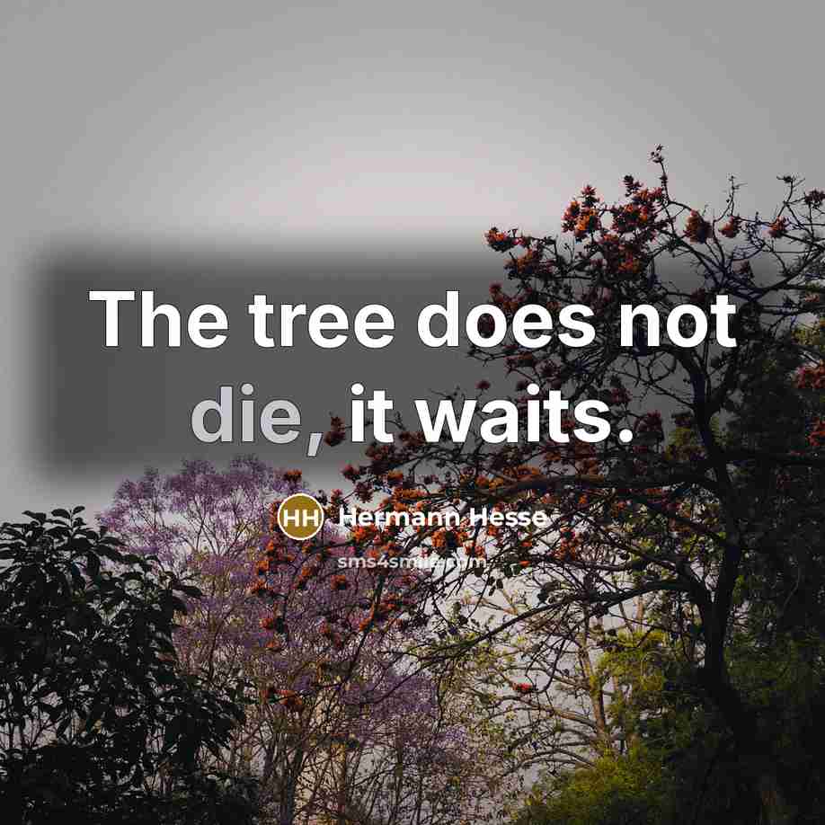 “The tree does not die, it waits.…” quote by Hermann Hesse