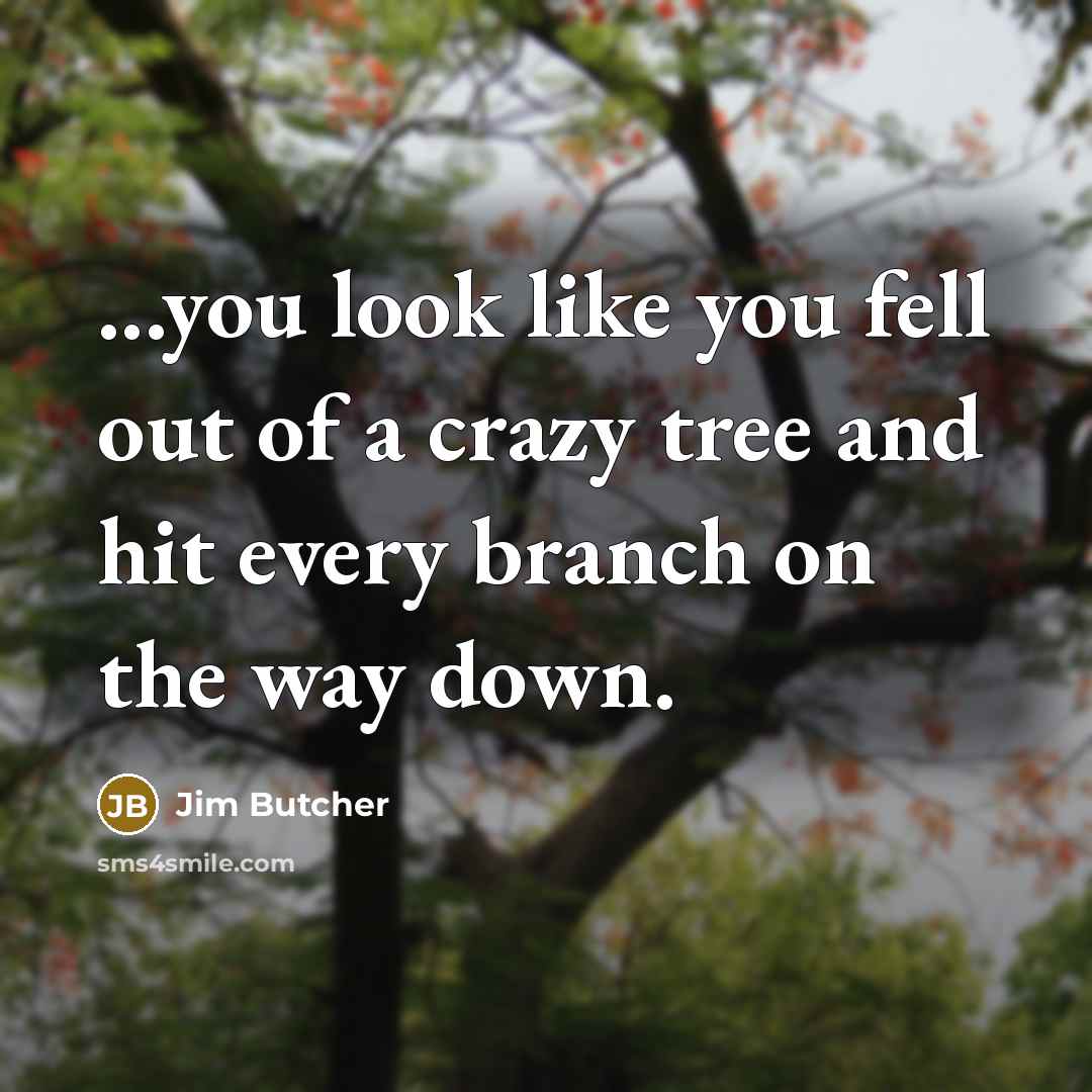 “...you look like you fell out of a crazy tree…” quote by Jim Butcher