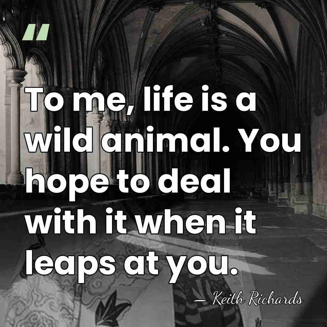 To me, life is a wild animal. You hope to deal with&hellip; - Keith Richards