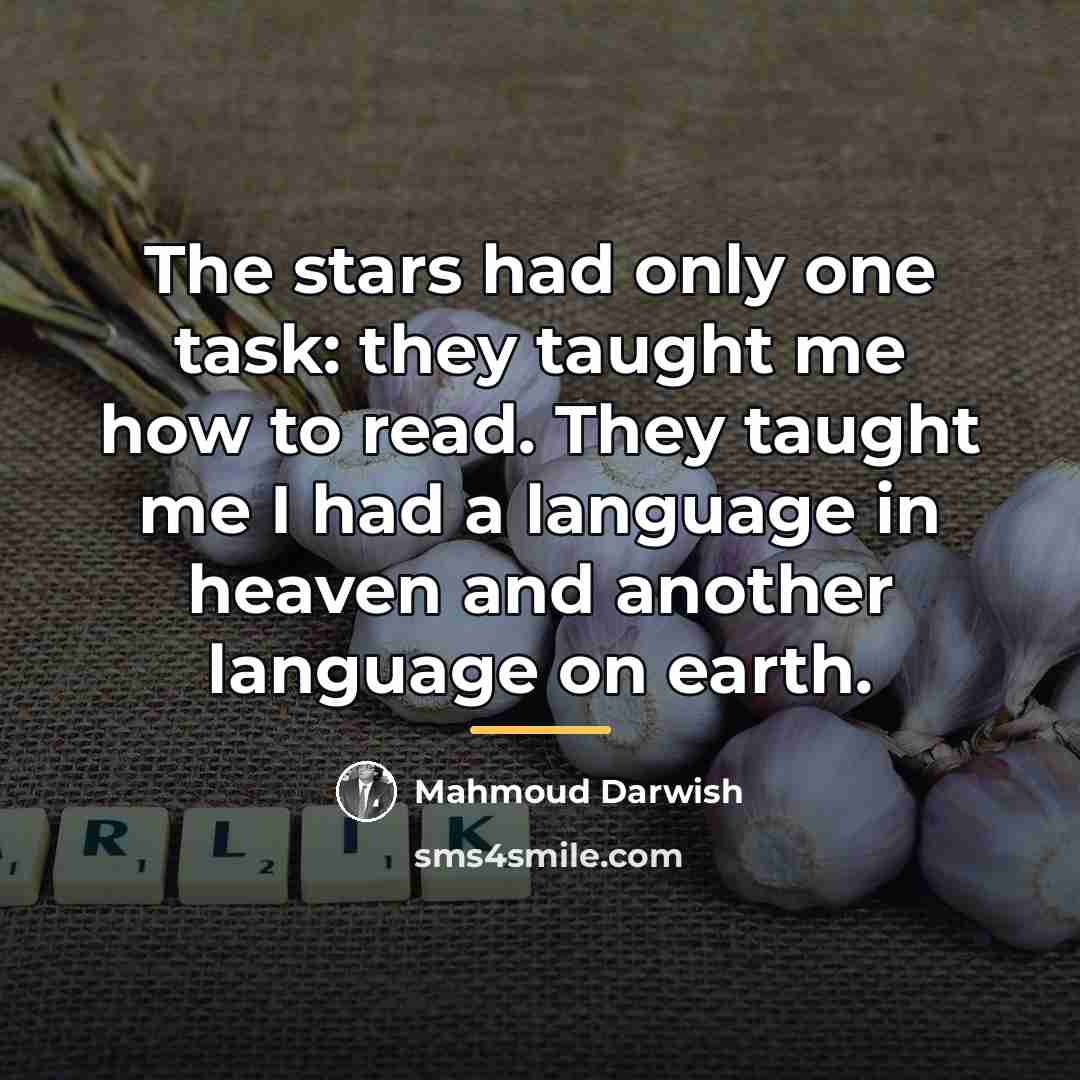 “The stars had only one task: they taught me how…” quote by Mahmoud Darwish