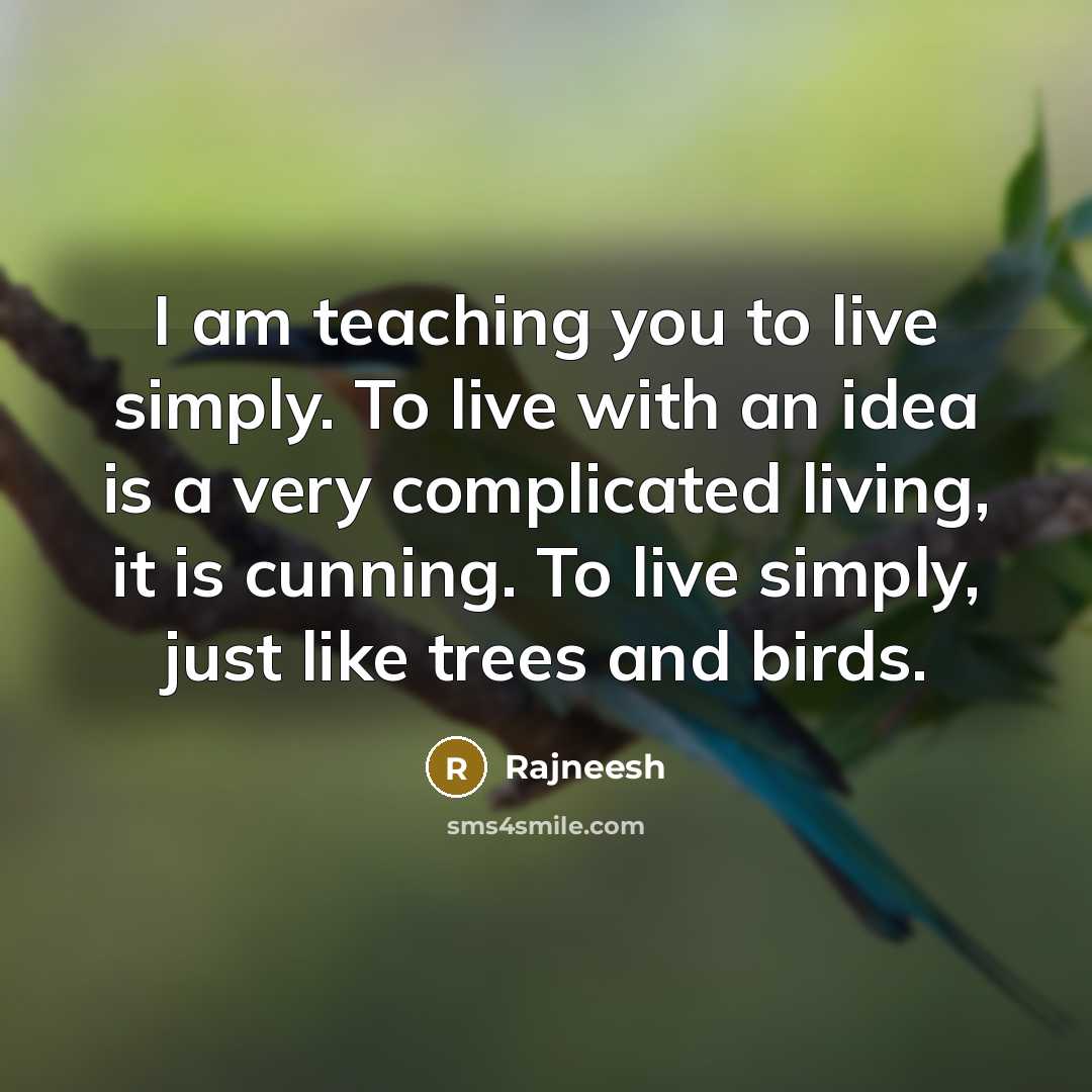 “I am teaching you to live simply. To live with…” quote by Rajneesh