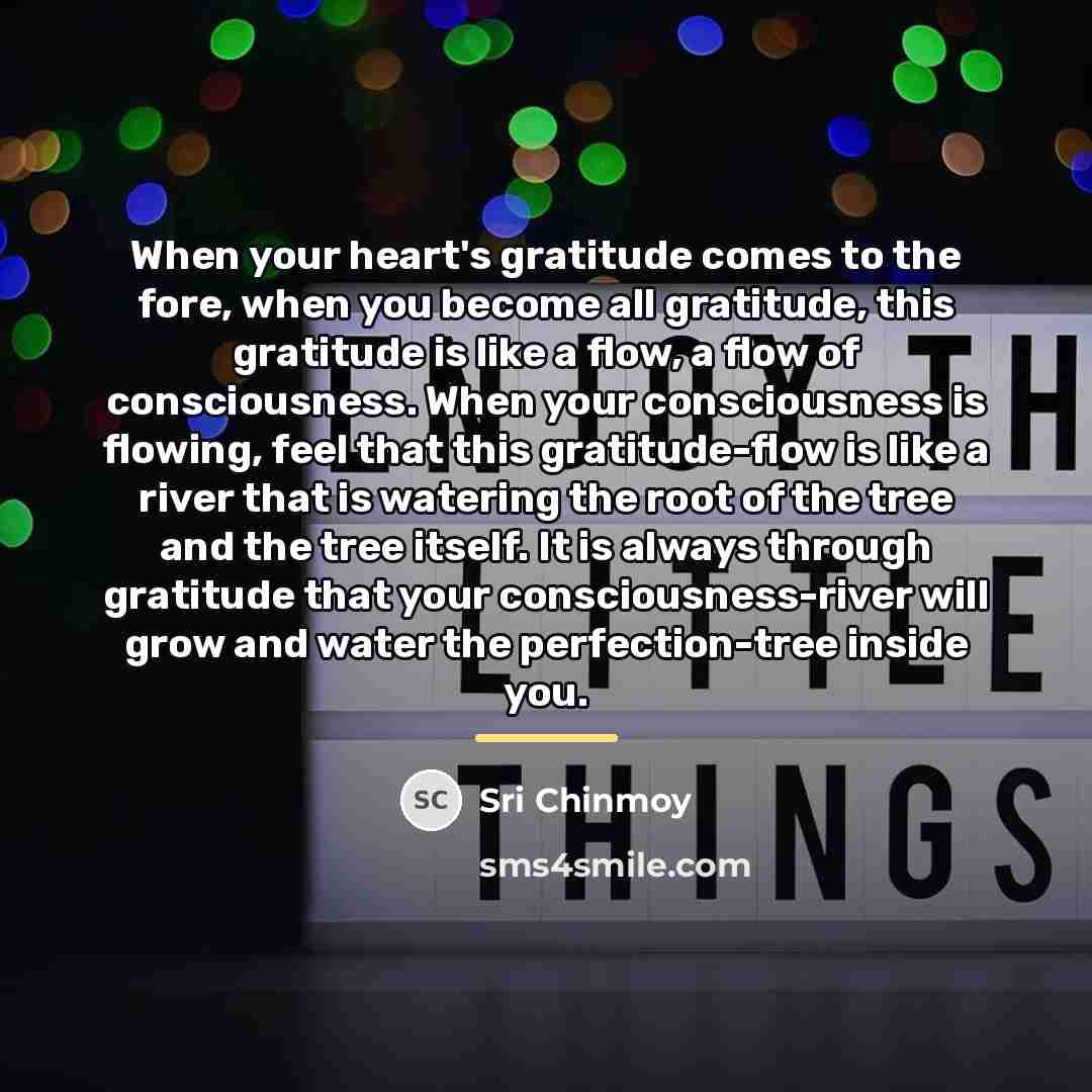 “When your heart's gratitude comes to the fore, when you…” quote by Sri Chinmoy