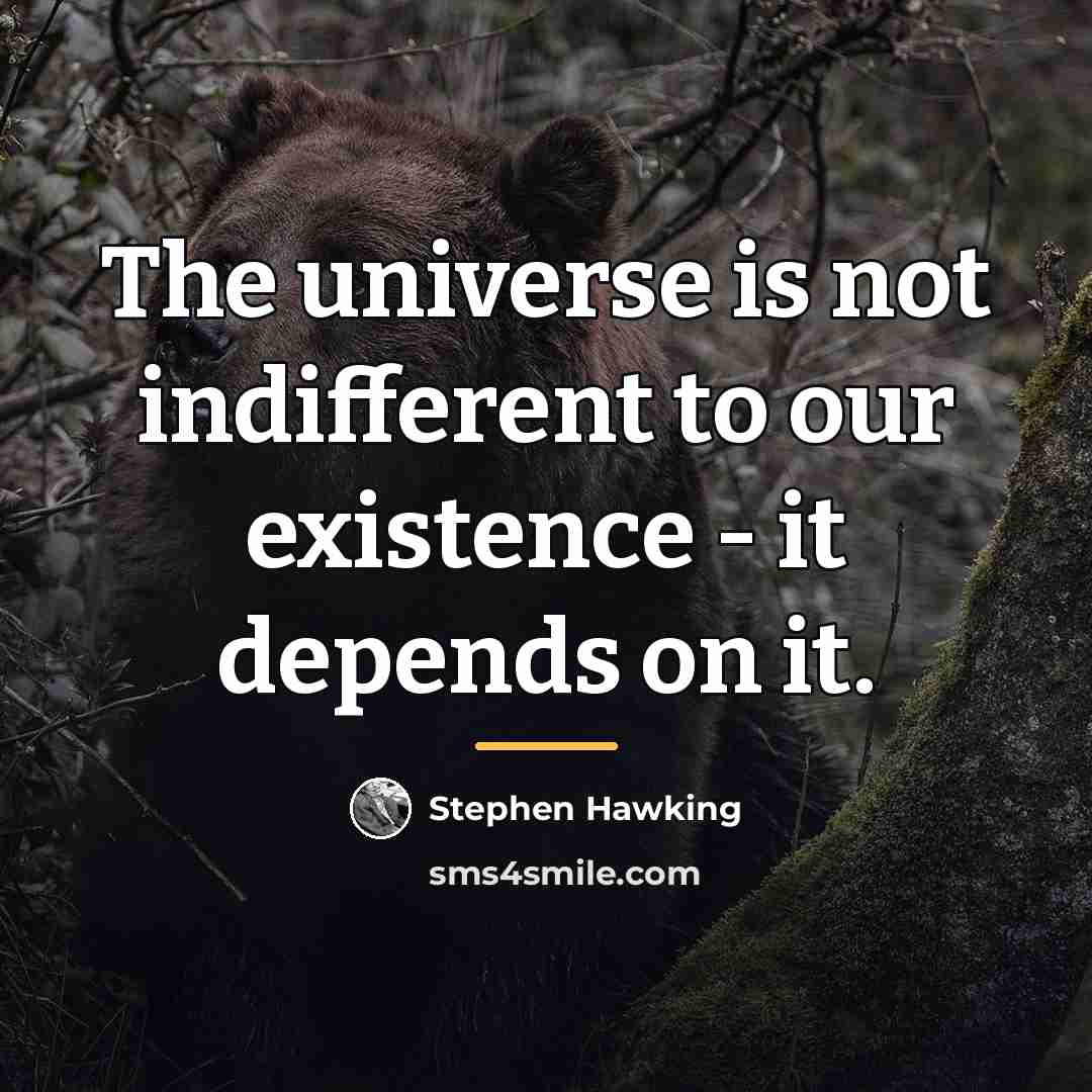 “The universe is not indifferent to our existence - it…” quote by Stephen Hawking