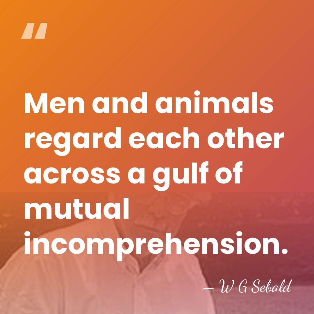 Men and animals regard each other across a gulf of mutual incomprehension. - W G Sebald