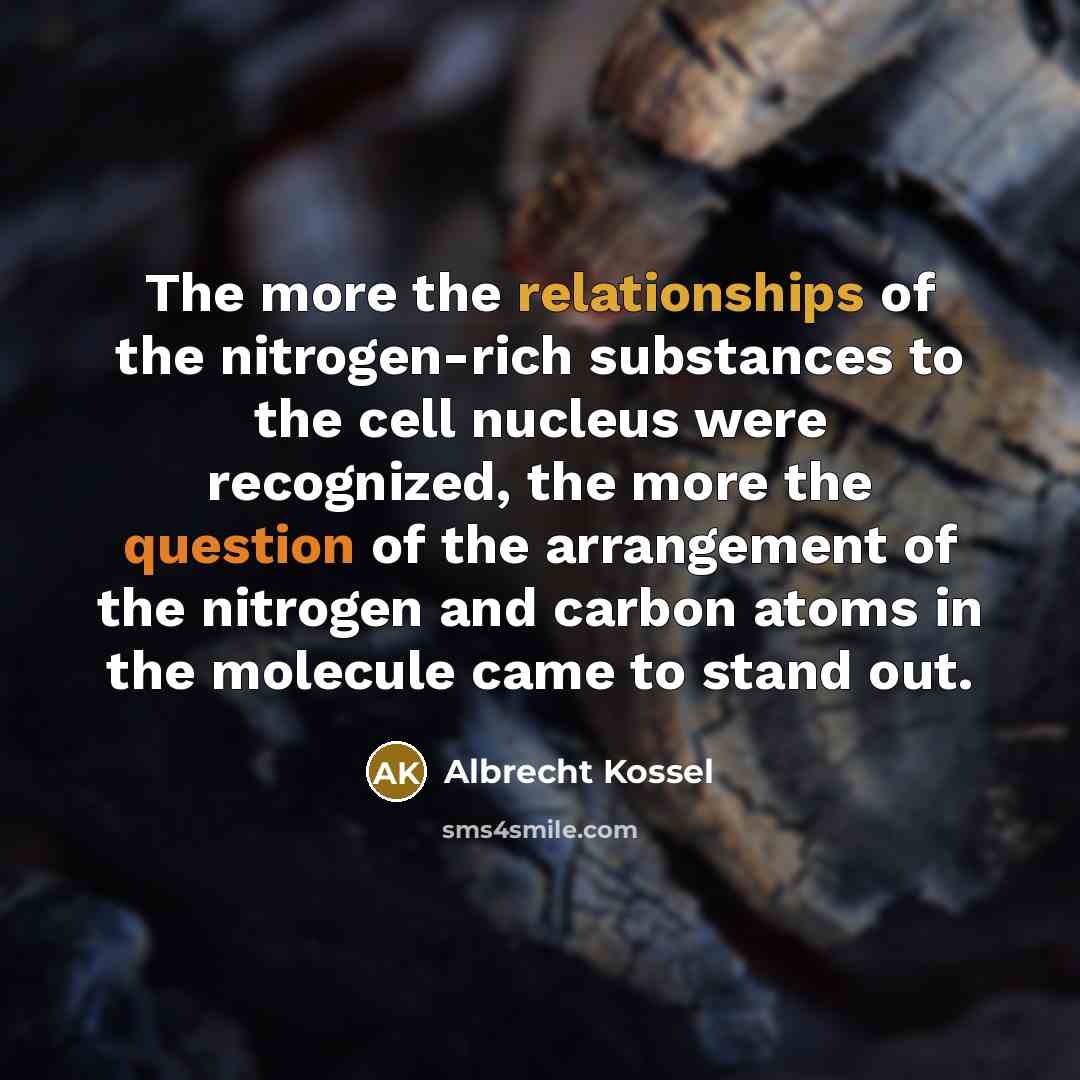 “The more the relationships of the nitrogen-rich substances to the…” quote by Albrecht Kossel