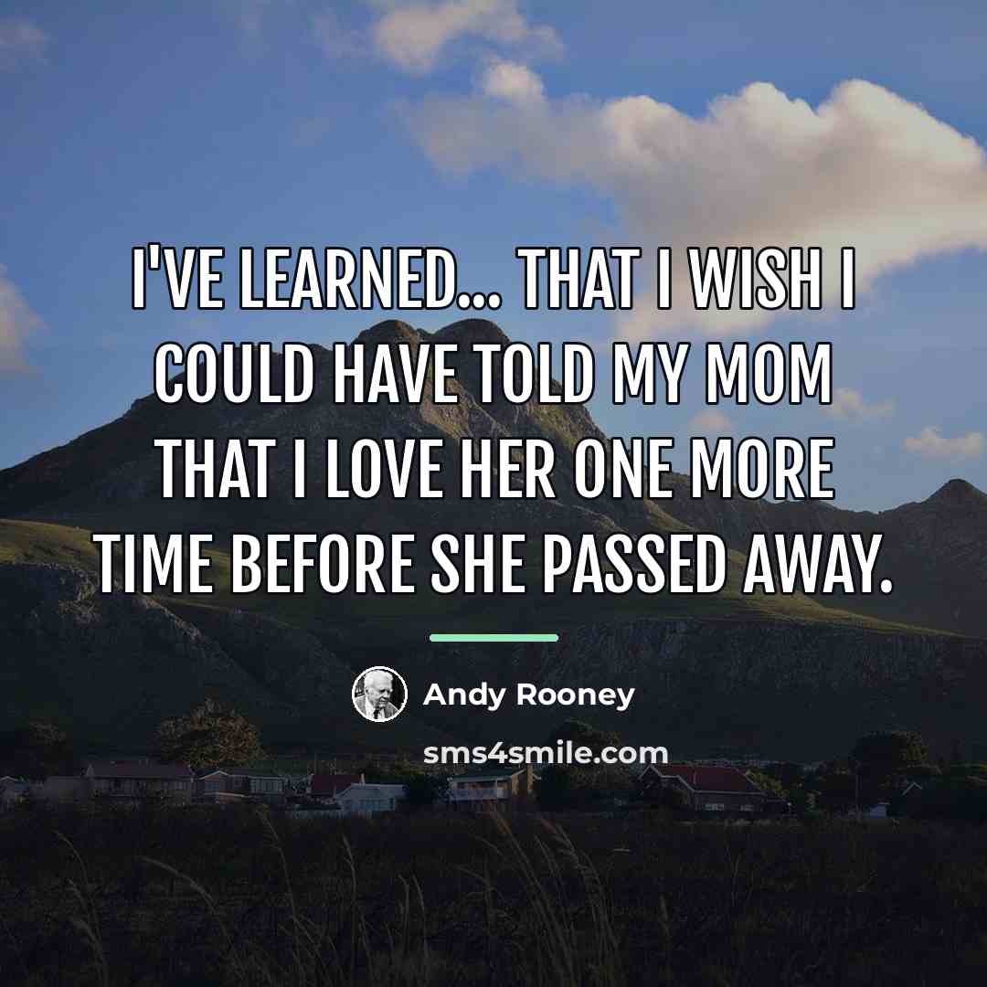 “I've learned... That I wish I could have told my…” quote by Andy Rooney