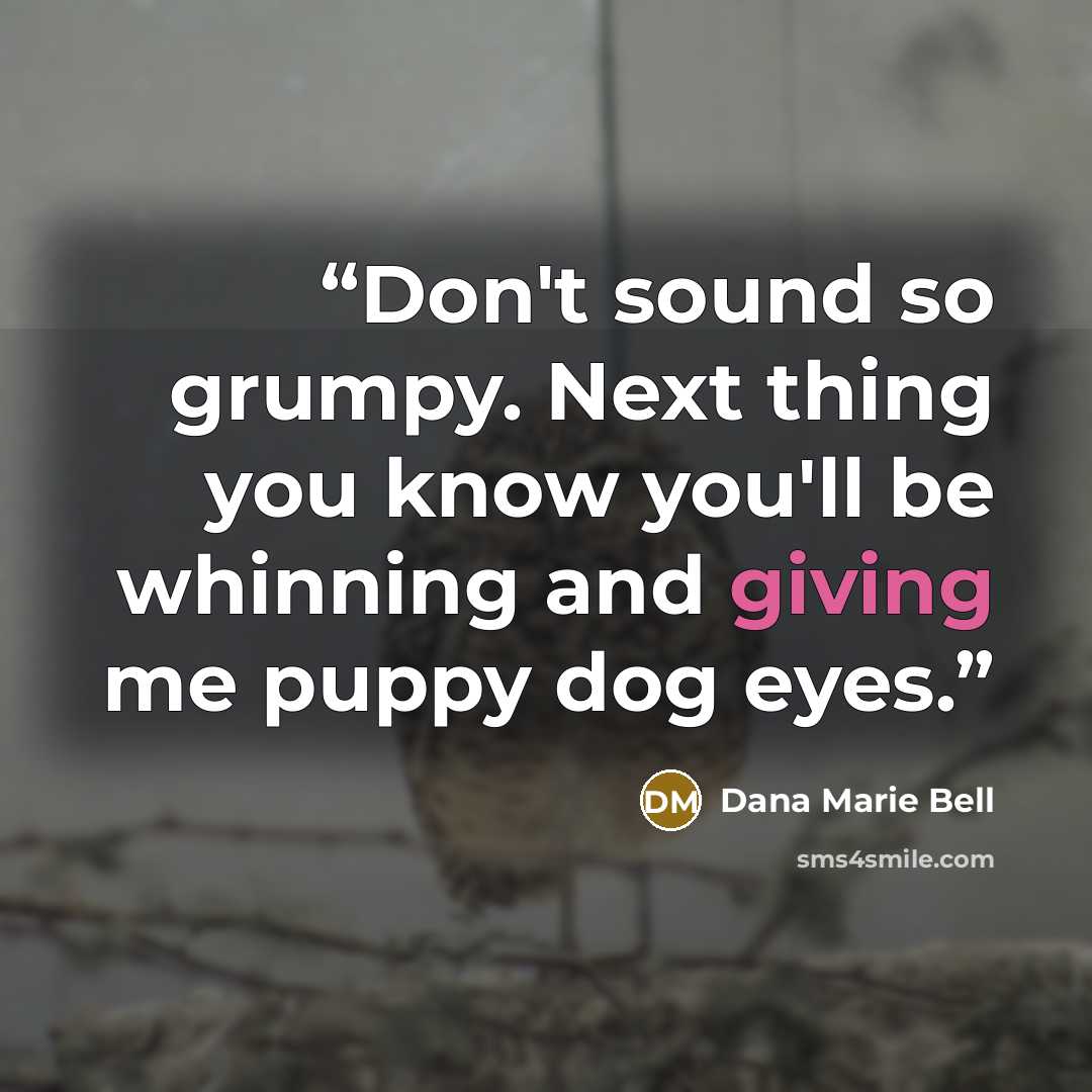 “Don't sound so grumpy. Next thing you know you'll be whinning and giving me puppy dog eyes.” quote by Dana Marie Bell